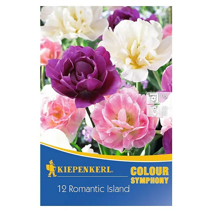 Kiepenkerl Frühlingsblumenzwiebeln Romantic Island Mix - Tulipa, 12 Stk. - Vorderansicht