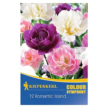 Kiepenkerl  Frühlingsblumenzwiebeln Romantic Island Mix