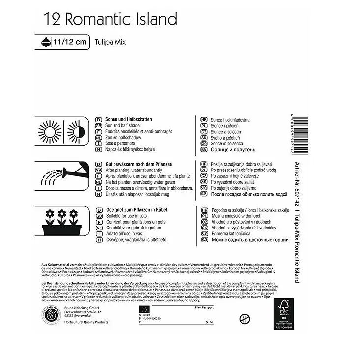 Kiepenkerl Frühlingsblumenzwiebeln Romantic Island Mix - Tulipa, 12 Stk. - Rückansicht