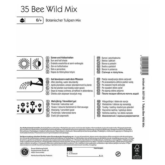 Kiepenkerl Frühlingsblumenzwiebeln Bee Wild Mix - Tulipa in Arten, 35 Stk. - Rückansicht