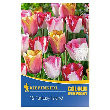 Kiepenkerl  Frühlingsblumenzwiebeln Tulpenmischung Fantasy Island