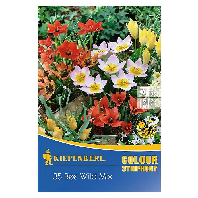 Kiepenkerl Frühlingsblumenzwiebeln Bee Wild Mix - Tulipa in Arten, 35 Stk. - Vorderansicht