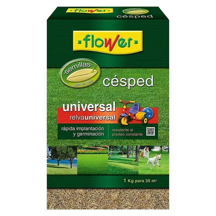 Flower Semillas de césped Universal - 1 kg, 35 m²