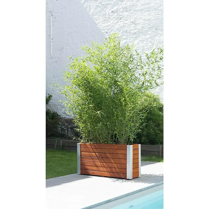 Forest-Style Macetero para plantas Bambou - Dimensiones externas (L x An x Al): 100 x 30 x 50 cm, Madera, Teca - Foto ambiente