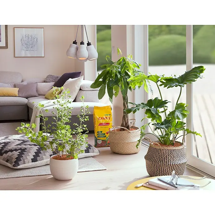 Seramis Pflanzengranulat - 7,5 l - Stimmungsaufnahme