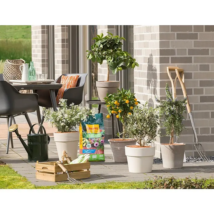 Seramis Pflanzgranulat Outdoor - 12,5 l - Stimmungsaufnahme