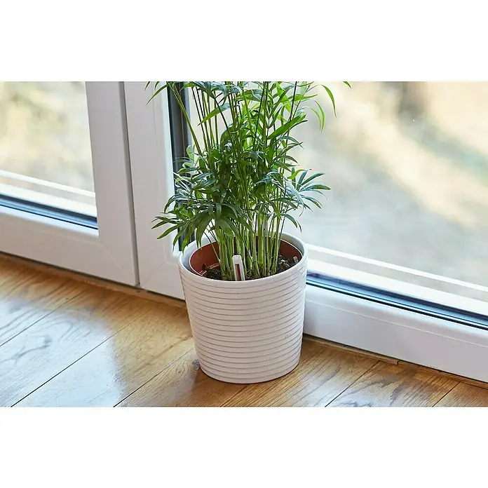 Westland Gießanzeiger - 290 mm, Geeignet für: Blumenerde, Weiß - Stimmungsaufnahme