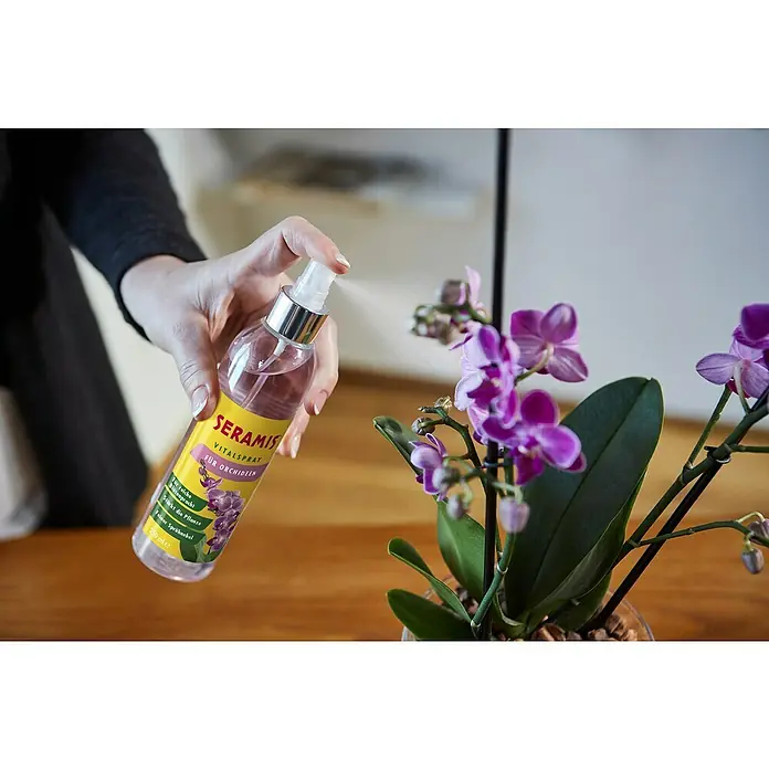 Seramis Blattpflege - 250 ml - Stimmungsaufnahme