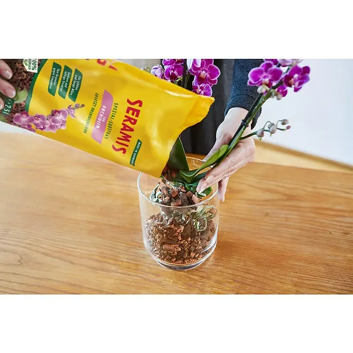 Seramis Orchideen-Granulat - 2,5 l - Stimmungsaufnahme