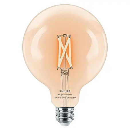 WiZ  Bombilla LED Globo G125 Regulable