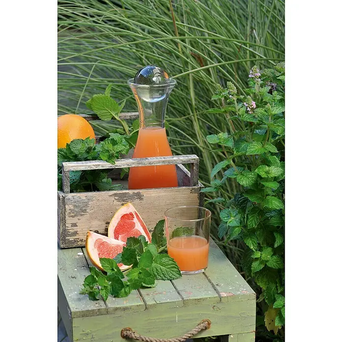 Piardino Grapefruitminze Bio - Mentha suaveolens 'Grapefruit', Topfgröße: 12 cm - Anwendungsbeispiel