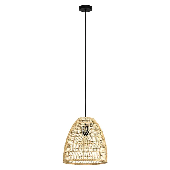 Eglo Pendelleuchte AYESGARTH - 40 W, Schwarz, E27 - Vorderansicht