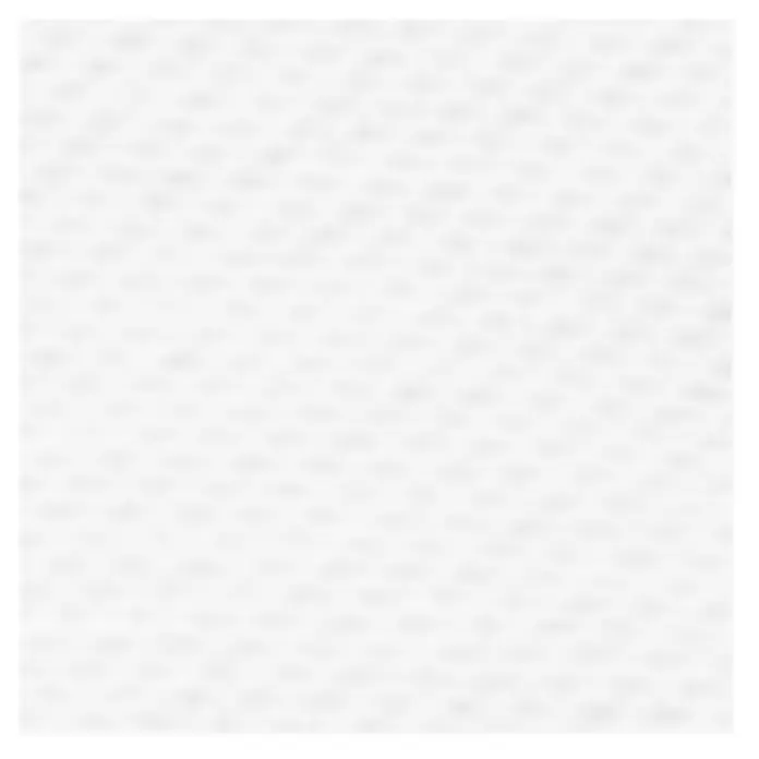 Windhager Winterschutzvlies Öko Superprotect - L x B: 2,5 x 1 m, Weiß, 50 g/m² - Detailaufnahme
