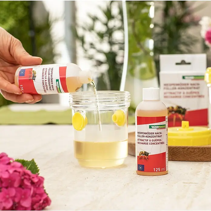 Windhager Wespenfalle - Garten - Anwendungsbeispiel