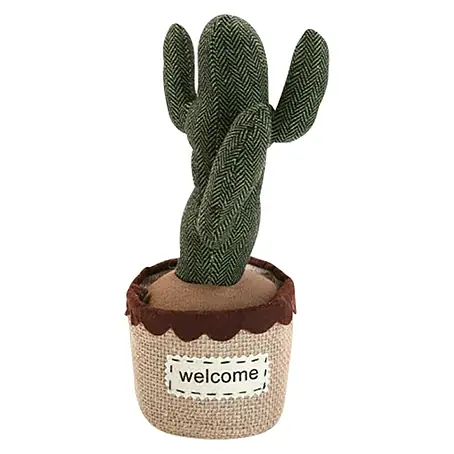 Tope para puertas Cactus