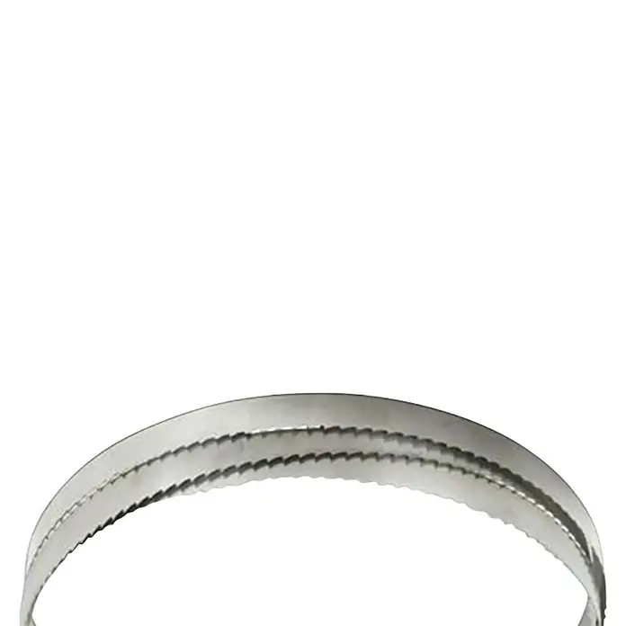 Hoja de sierra de cinta S-90/91G - 11,4 x 1,27 cm - Primer plano
