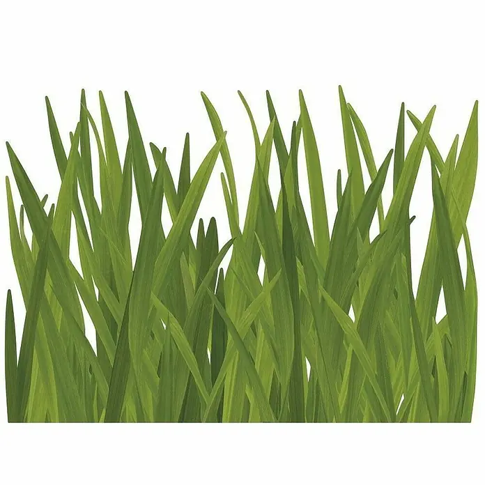 Vinilos decorativos Hierba - 1 pieza, Verde, An x Al: 48 x 68 cm - Primer plano