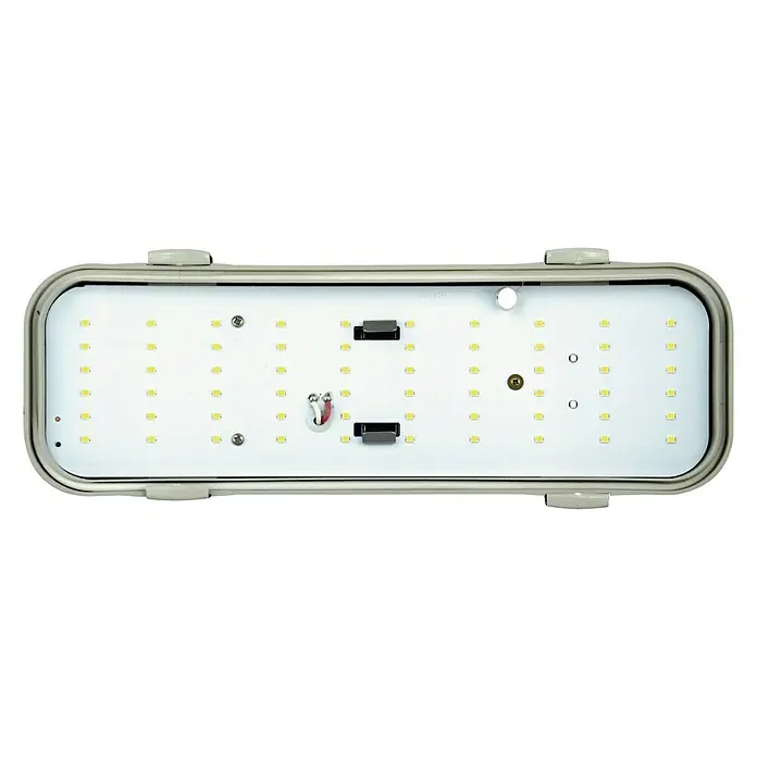 Ovalleuchte Midi - IP65, Hellgrau, L x B x H: 30 x 10,4 x 10,4 cm - Vorderansicht