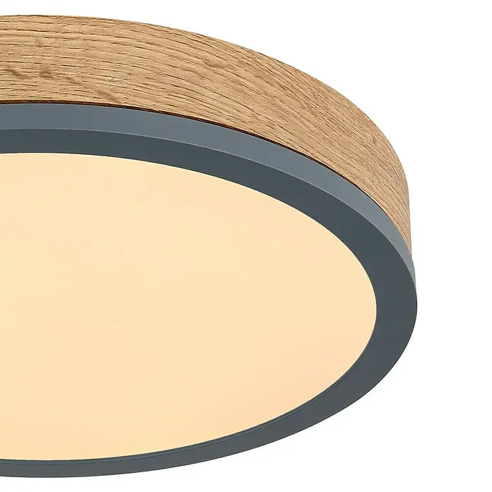 Globo Doro LED-Deckenleuchte rund - 12 W, Ø x H: 300 mm x 8,5 cm, Graphit, Warmweiß, Nicht Dimmbar - Detailaufnahme