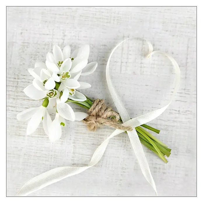Glasbild - White Spring I, B x H: 30 x 30 cm - Vorderansicht