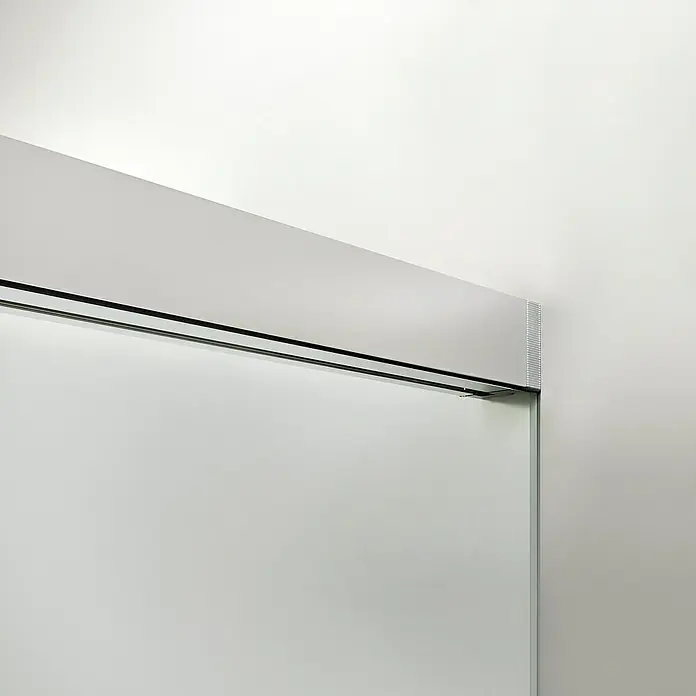 Duscholux Mampara de ducha fija D3 Basic One - An x Al: 98 x 200 cm, Espesor: 6 mm, Plata - Primer plano