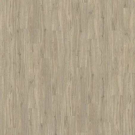 Living by Haro  Designboden Eiche Trient Grau