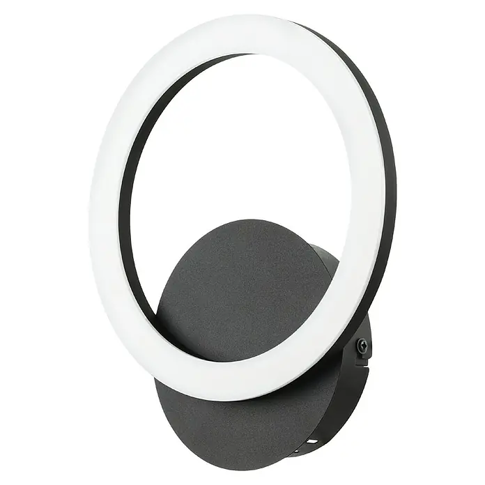 Eglo LED-Deckenleuchte PARRAPOS-Z - 12 W, Schwarz - Diagonale Ansicht