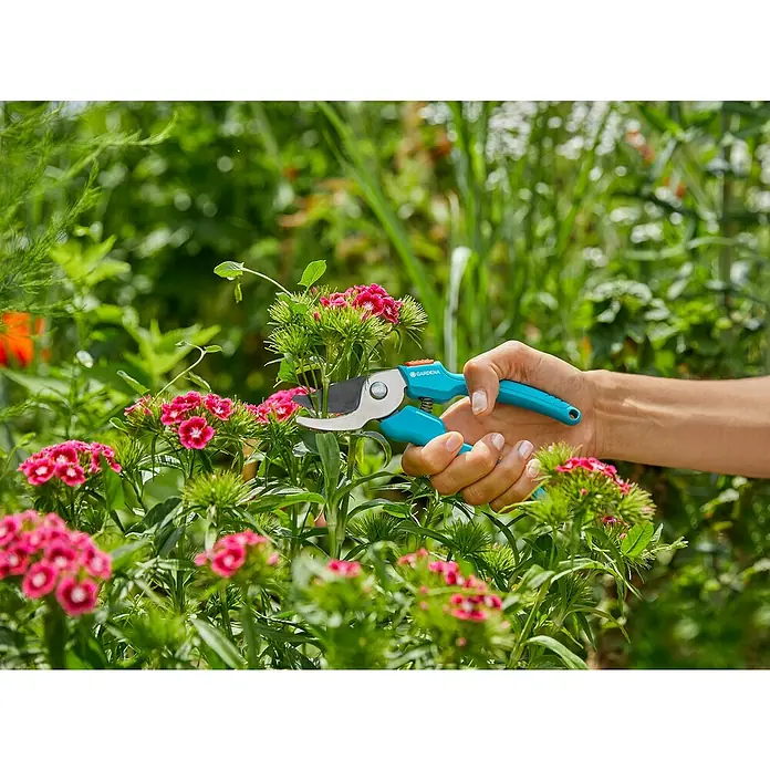 Gardena Classic Vrtne škare - Bypass, Maksimalna debljina grane: 18 mm - Proizvod u upotrebi