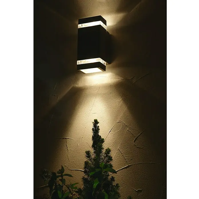 Lutec Aplique exterior LED Focus - 7,62 W, 10,9 x 11 x 23,5 cm, Antracita, IP44