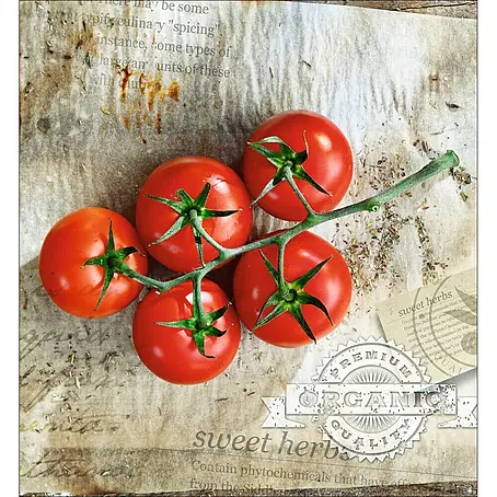 Protector de pared de cocina Deco 951