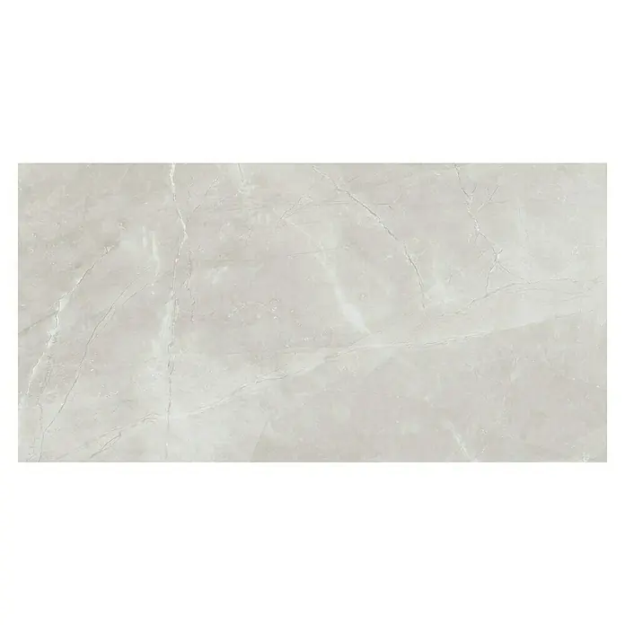 Feinsteinzeugfliese Bayona Silver - 60 x 120 cm, Grau, Glänzend - Draufsicht