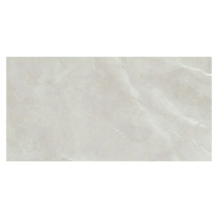 Feinsteinzeugfliese Bayona Silver - 60 x 120 cm, Grau, Glänzend - Draufsicht