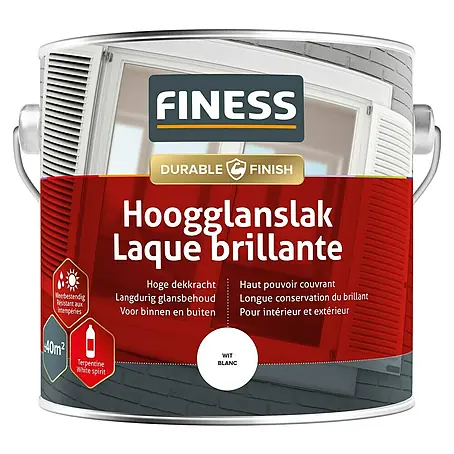 Finess  Lak Hoogglans