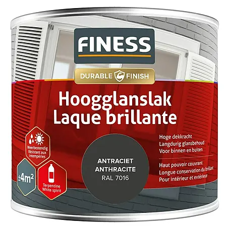 Finess  Lak Hoogglans