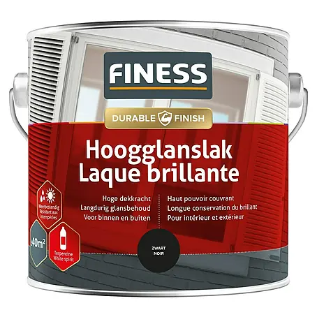 Finess  Lak Hoogglans