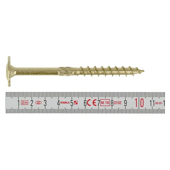 Profi Depot Holzbauschraube TX - Tellerkopf, TX für TORX-Antriebe, 50 Stk., Ø x L: 8 x 100 mm - Draufsicht