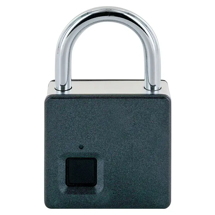 Schwaiger Vingerafdrukslot USB Type C met sleutel - Antraciet - Vooraanzicht