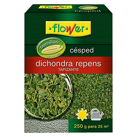 Flower  Semillas para césped Dichondra Repens