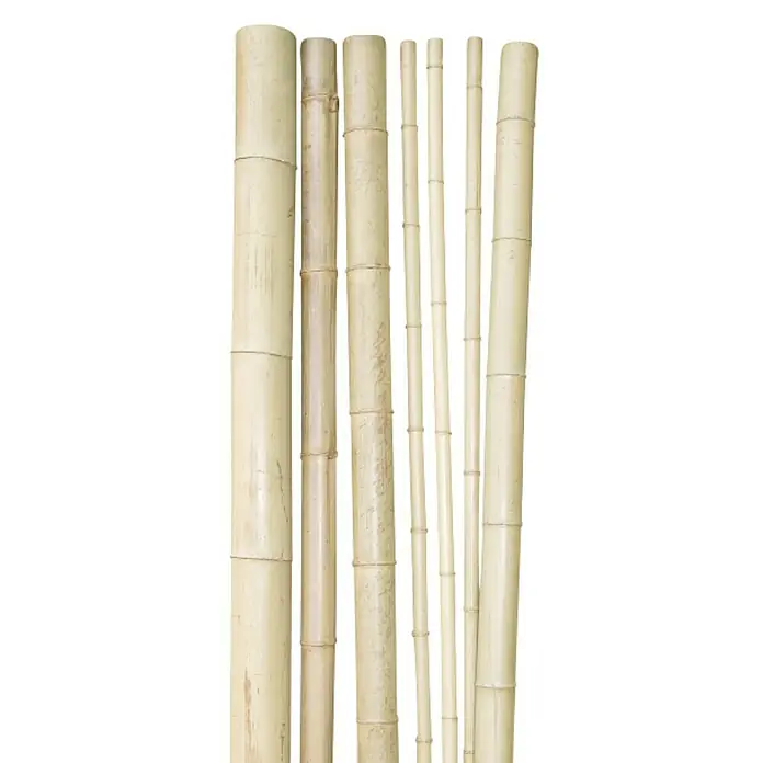 Windhager Bambusrohr - Länge: 200 cm, Durchmesser: 3 cm