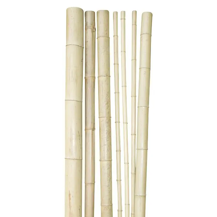 Windhager Bambusrohr - Länge: 200 cm, Durchmesser: 9 cm