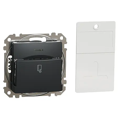 Schneider Electric Sedna Design & Elements Interruptor de tarjeta