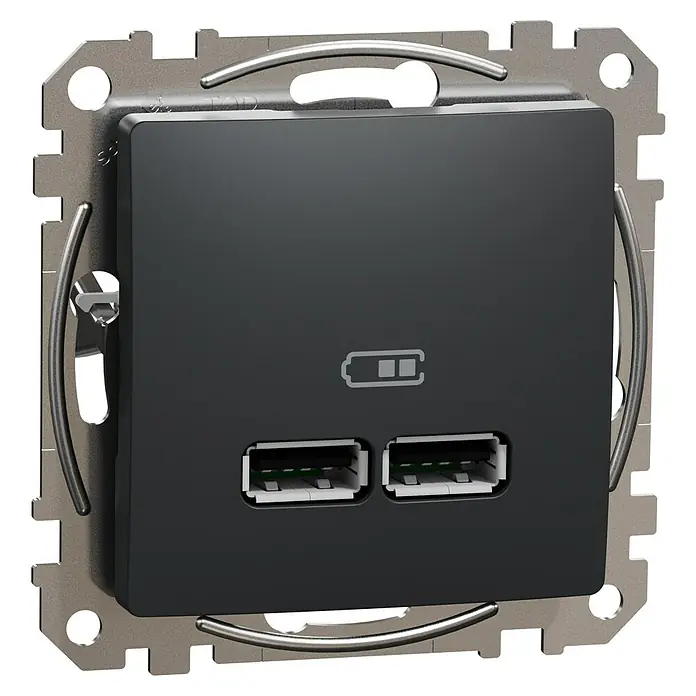 Schneider Electric Sedna Design & Elements Toma USB 2 X A - Antracita, 2 conexiones, Plástico, En pared - Vista angular