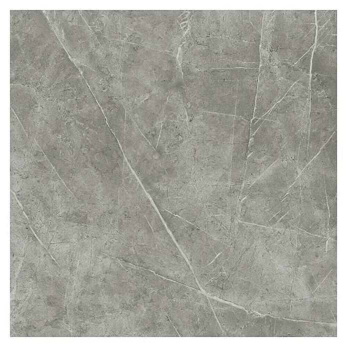 Feinsteinzeugfliese Marble Vision - L x B: 60 x 60 cm, Grau, Seidenmatt - Draufsicht