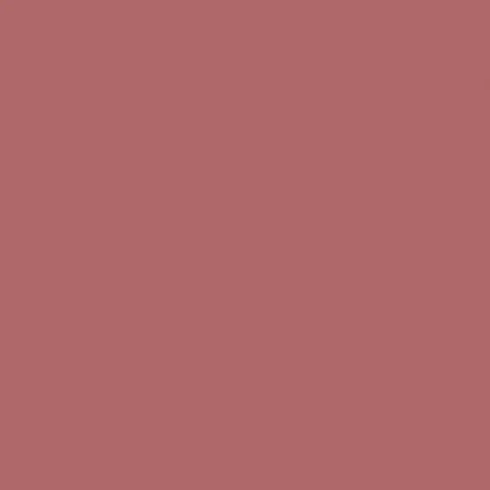 SCHÖNER WOHNEN-Farbe Wandfarbe Designfarbe - Englisches Rosenrot, 2,5 l, Matt - Draufsicht