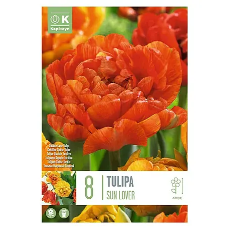 Kapiteyn  Bulbos de otoño