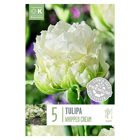 Kapiteyn  Semillas de flores