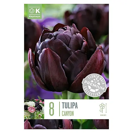 Kapiteyn  Semillas de flores