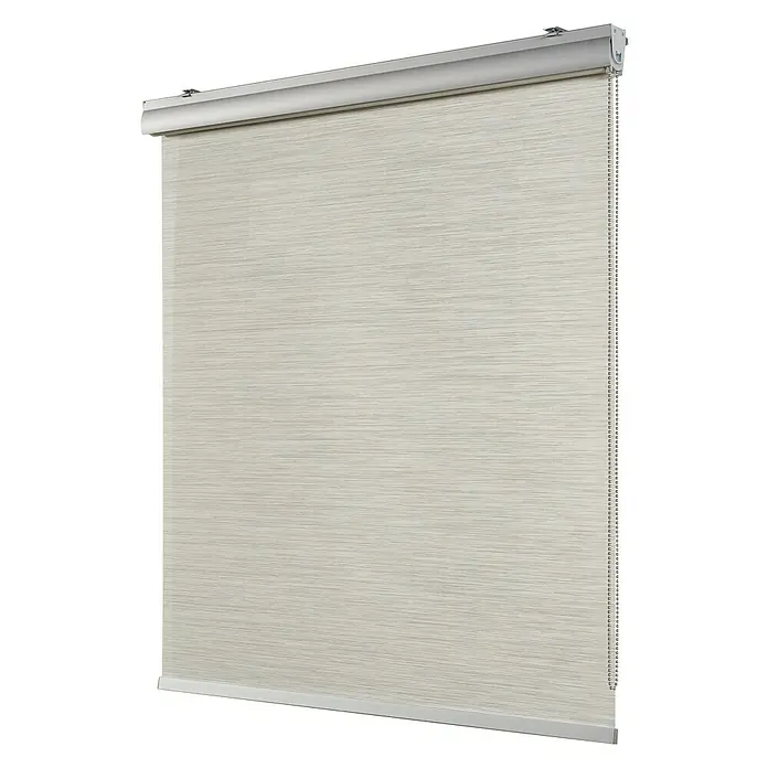 Estor enrollable Roll-up Screen - An x Al: 120 x 250 cm, Gris perla
