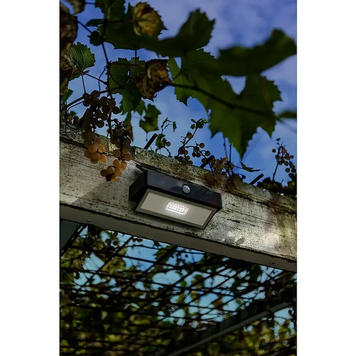 Lutec Aplique solar para exterior Arrow LED - Detector de movimiento, Blanco frío, IP44 - Foto ambiente