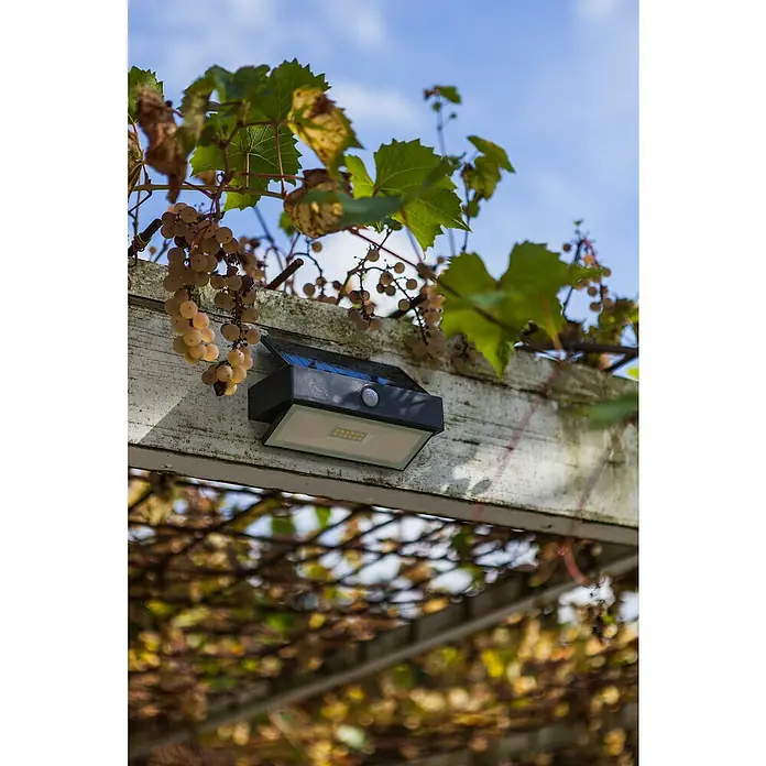 Lutec Aplique solar para exterior Arrow LED - Detector de movimiento, Blanco frío, IP44 - Foto ambiente